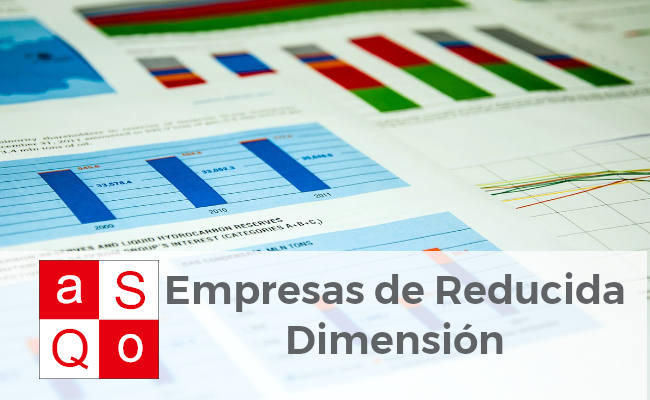 Información sobre Empresas de Reducida Dimensión
